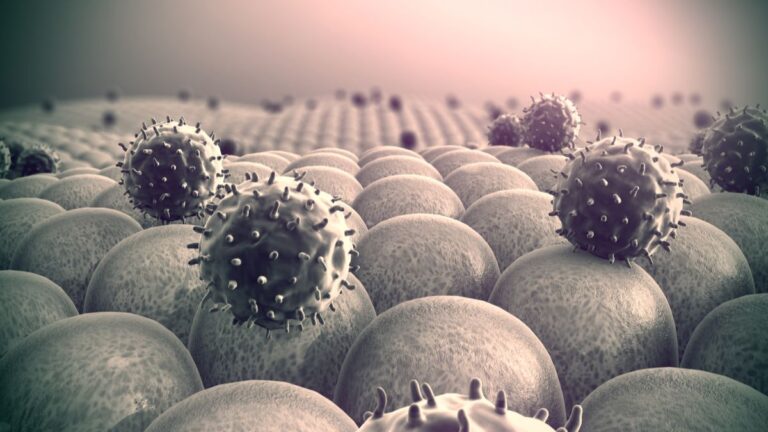 Mengenal Virus
